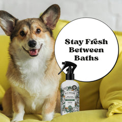 Dog Coat Refresher - Pet~Pourri